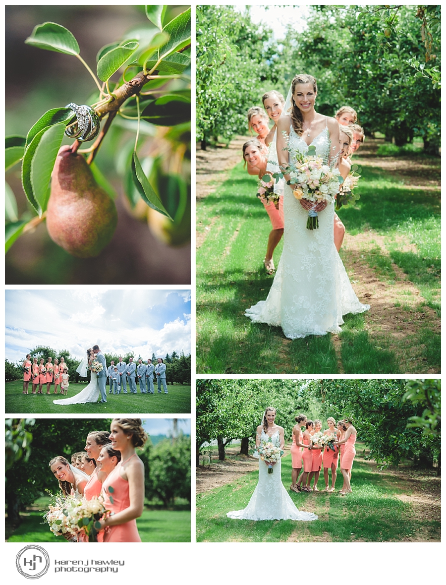 mt-view-orchards-3-wedding-photo