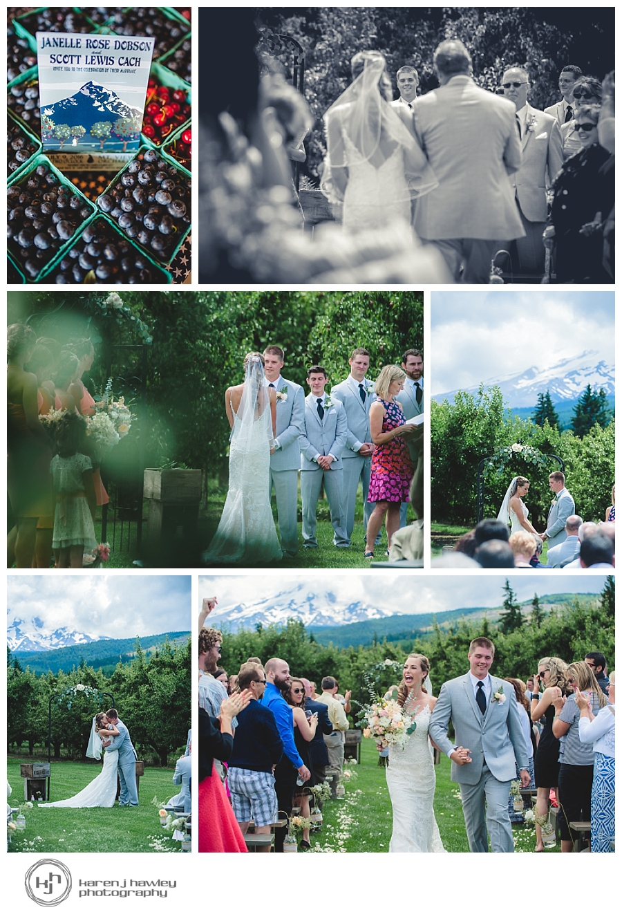 mt-view-orchards-wedding-1-photo